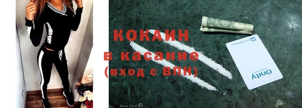 индика Беломорск