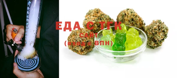 индика Беломорск