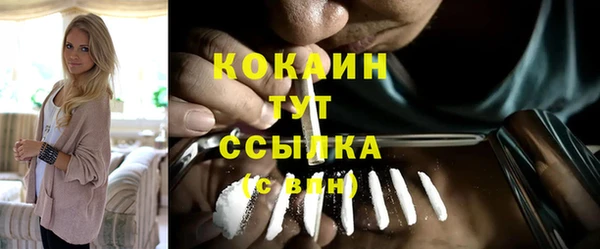 индика Беломорск