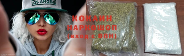 индика Беломорск