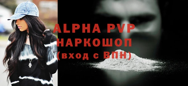 индика Беломорск