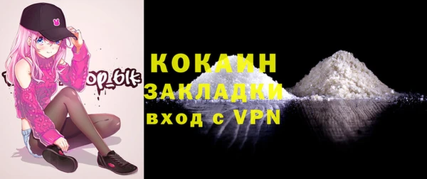 индика Беломорск