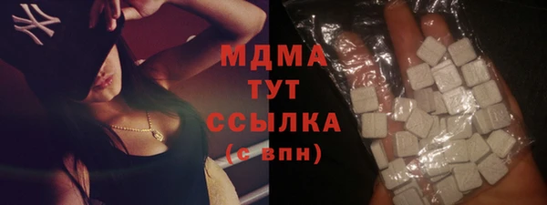 индика Беломорск