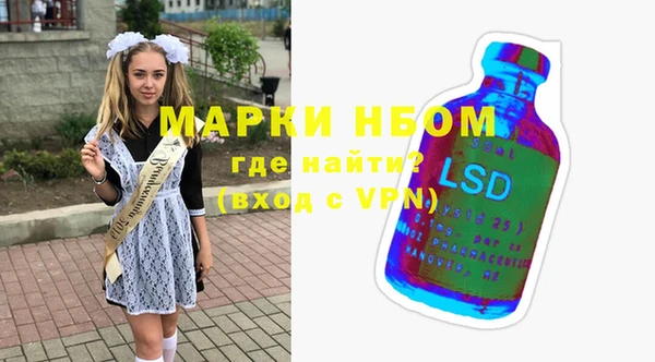 индика Беломорск