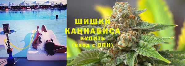 индика Беломорск
