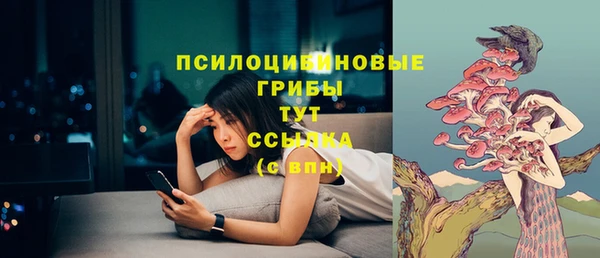 дурь Белокуриха