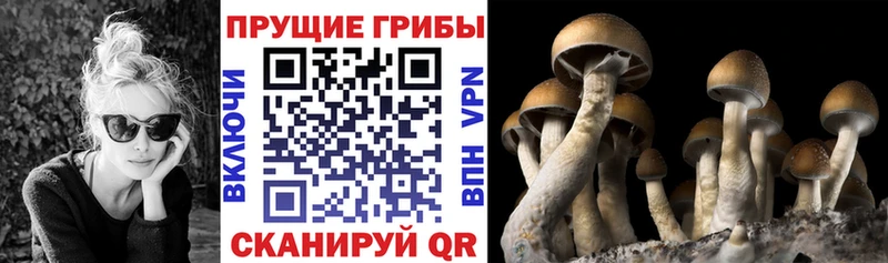Галлюциногенные грибы Magic Shrooms  Купить  Бронницы 